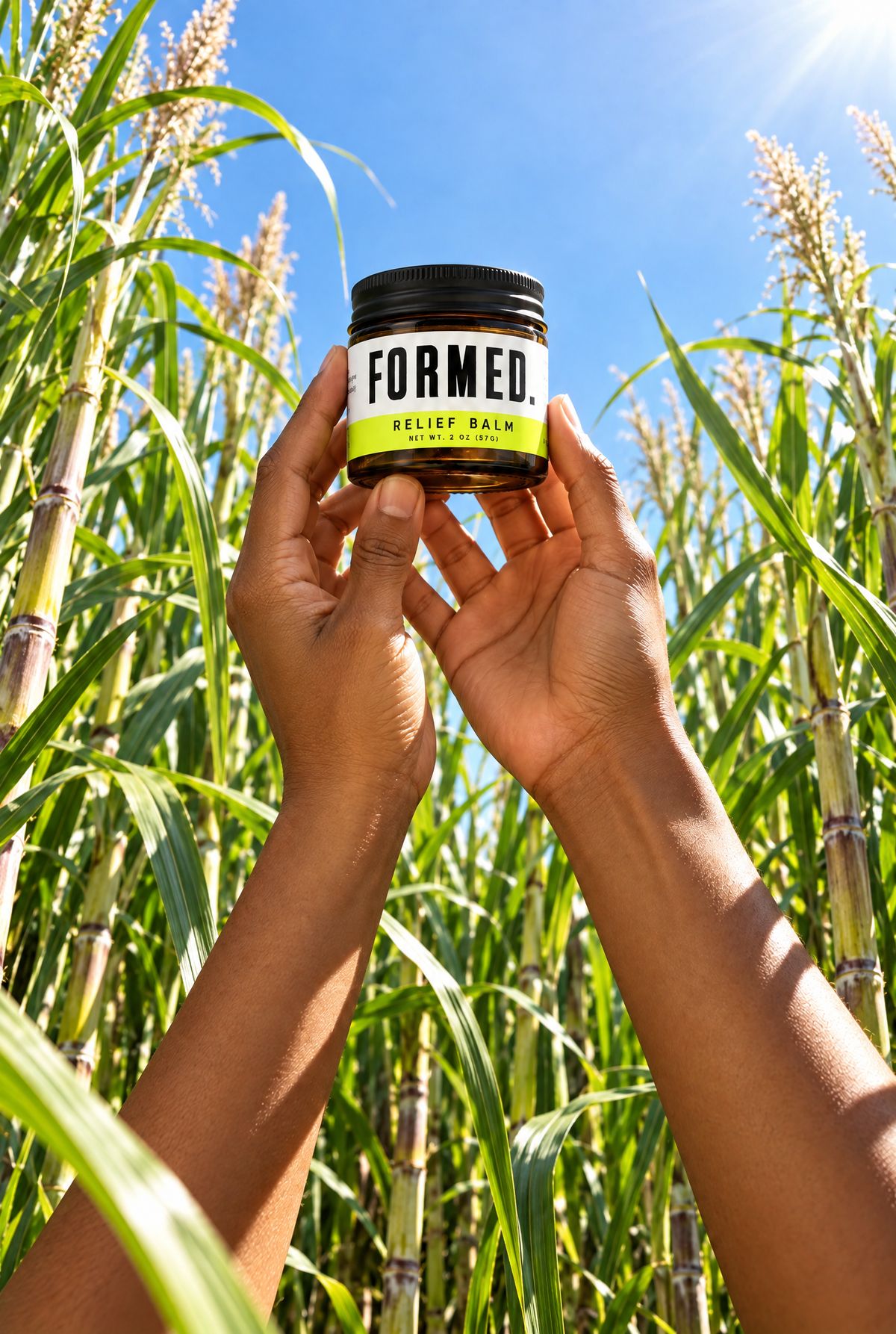 Hands hold up a 2OZ jar of Formed Renewal Balm for compromised skin, surrounded by tall stalks of sugargane.